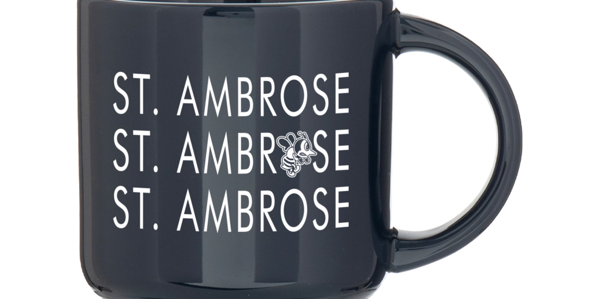 CM201SP5388SLINGSHOT-ST.AMBROSE951079.jpg