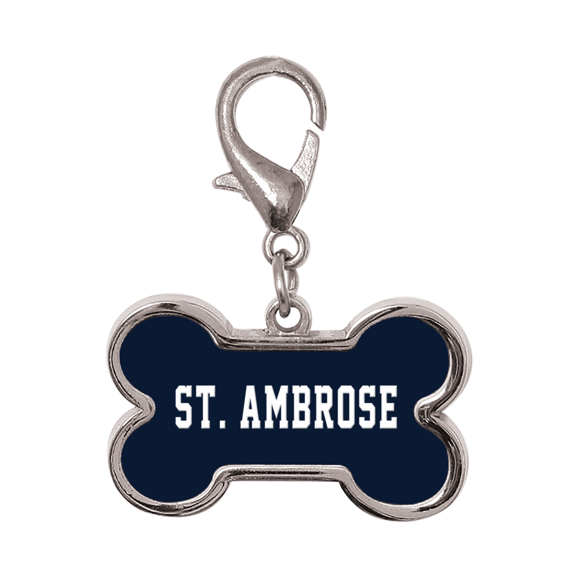 PE137SLINGSHOT-ST.AMBROSE951136.jpg