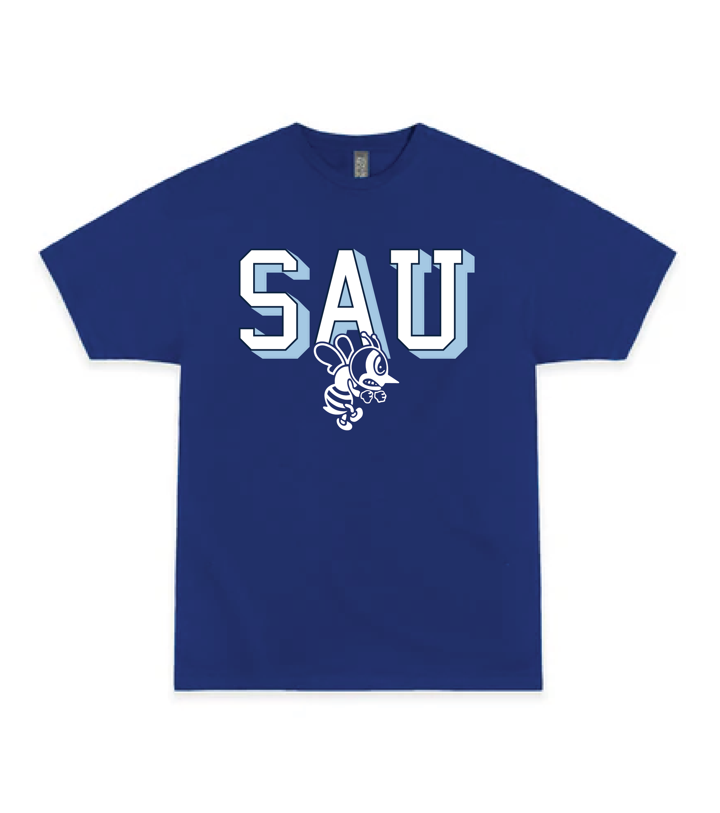 SAU_EC2_V15.png