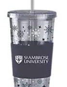 SAUstrawsnowflaketumbler-lxg.jpg